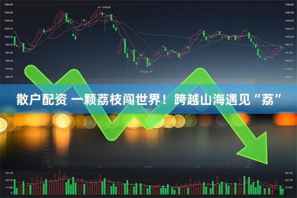 散户配资 一颗荔枝闯世界！跨越山海遇见“荔”