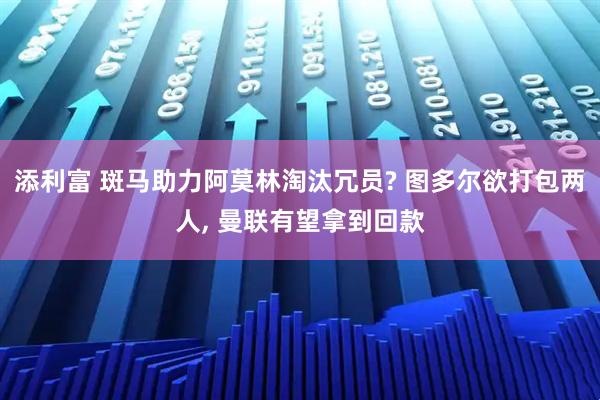 添利富 斑马助力阿莫林淘汰冗员? 图多尔欲打包两人, 曼联有望拿到回款