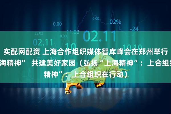 实配网配资 上海合作组织媒体智库峰会在郑州举行 弘扬“上海精神”  共建美好家园（弘扬“上海精神”：上合组织在行动）