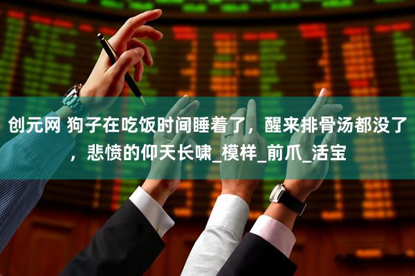 创元网 狗子在吃饭时间睡着了，醒来排骨汤都没了，悲愤的仰天长啸_模样_前爪_活宝