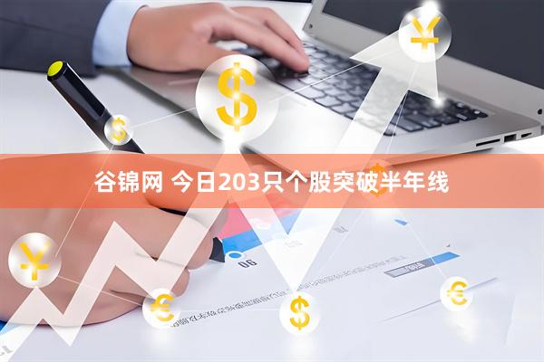谷锦网 今日203只个股突破半年线