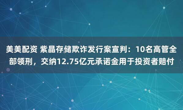 美美配资 紫晶存储欺诈发行案宣判:10名高管全部领刑,交纳12.75亿元承诺金用于投资者赔付