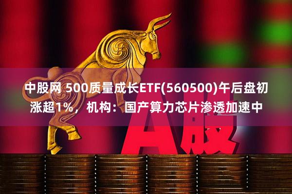 中股网 500质量成长ETF(560500)午后盘初涨超1%，机构：国产算力芯片渗透加速中
